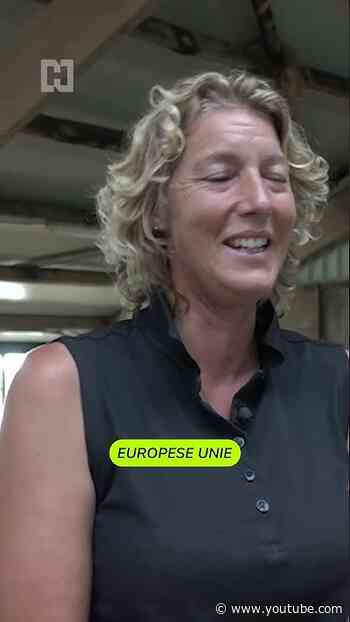 Wie heeft er zin om te gaan breien?