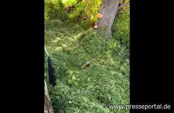 FW-M: Tierische Einsätze (Isarvorstadt und Schwabing)