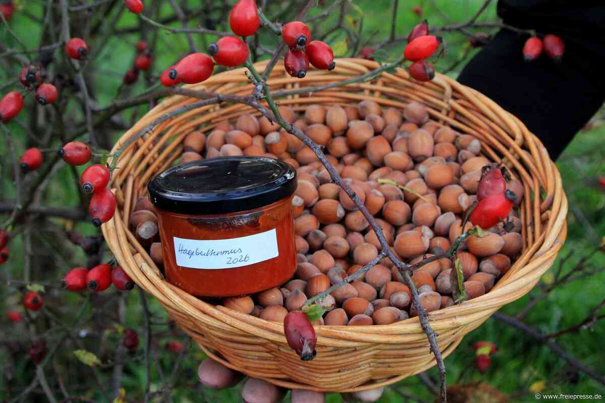 Herbstzeit ist im Vogtland Sammelzeit