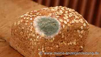 Verschimmeltes Brot einfach abschneiden? Warum das ein gefährlicher Fehler sein kann
