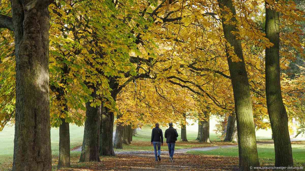 Eine entspannte Großstadt: Braunschweig lässt den Stress links liegen