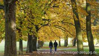 Eine entspannte Großstadt: Braunschweig lässt den Stress links liegen