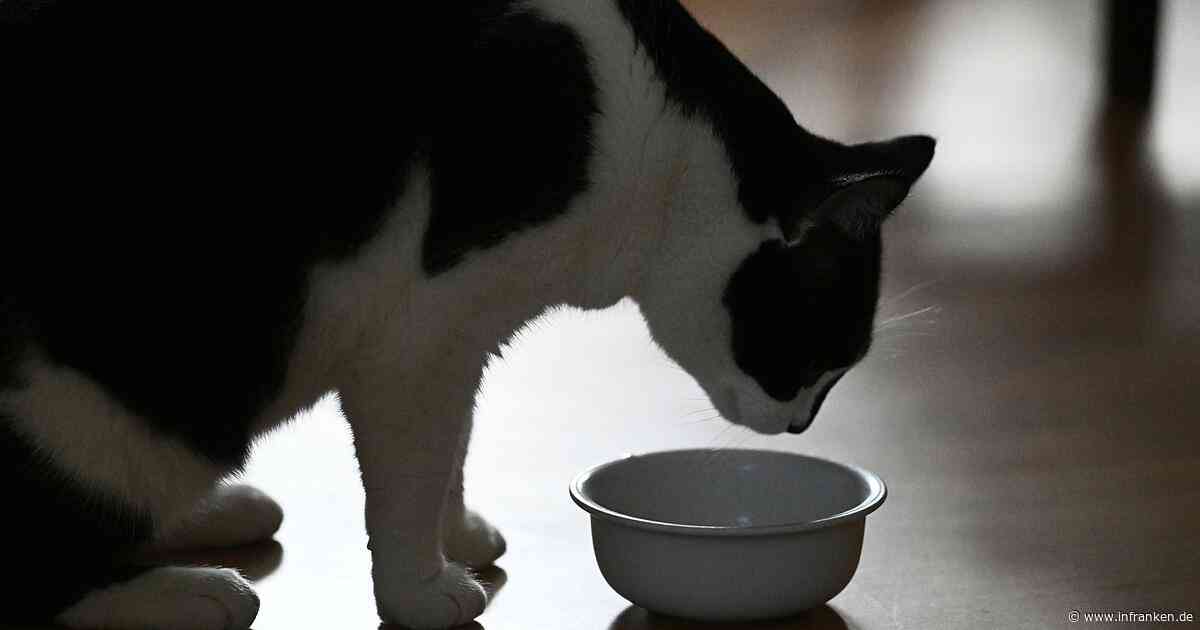 Teures Futter und hohe Hundesteuer