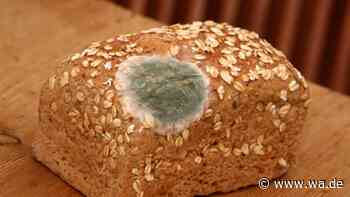 Verschimmeltes Brot einfach abschneiden? Warum das ein gefährlicher Fehler sein kann