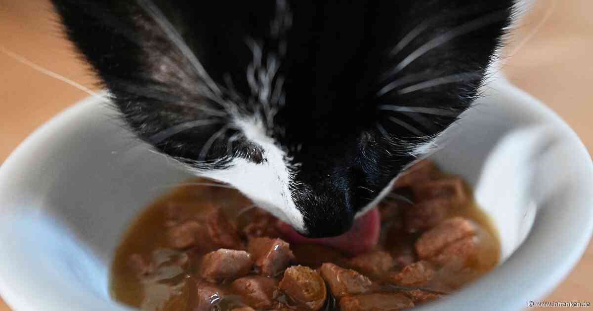 Teures Futter und hohe Hundesteuer
