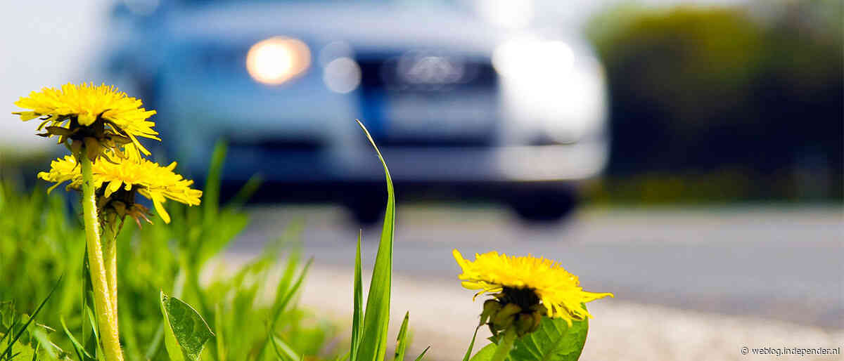 Vrouw wint strijd met verzekeraar na auto-inbraak en krijgt 2500 euro terug