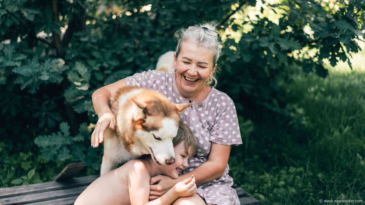 Houdt je huisdier echt van je? Dierenarts rekent af met hardnekkige mythes