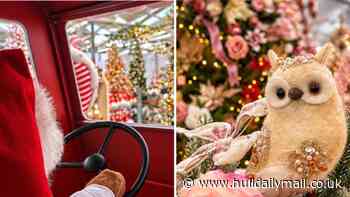 East Yorkshire garden centre conjures up festive magic with its 12 Weekends of Christmas