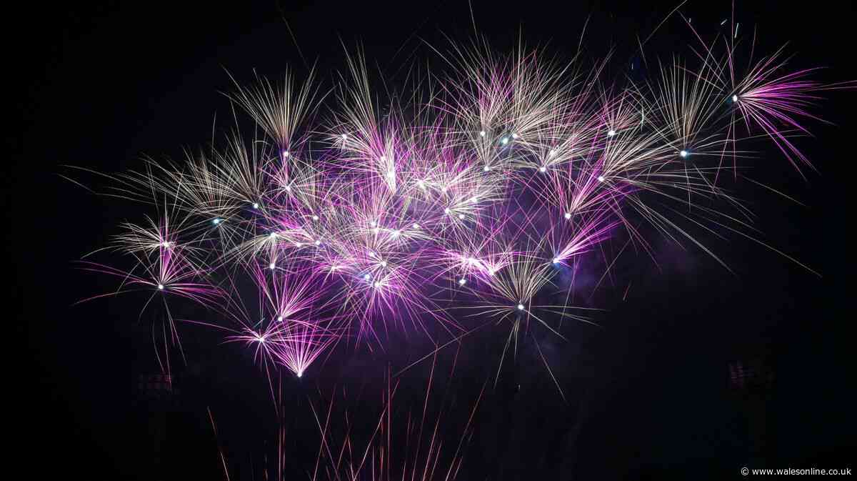Singleton Park to host Swansea's big annual fireworks display - and tickets are a bargain