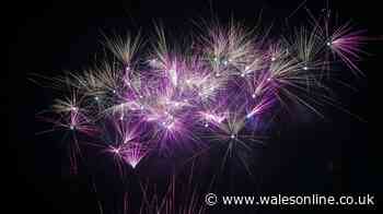Singleton Park to host Swansea's big annual fireworks display - and tickets are a bargain