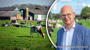 Boeren zien stikstofnorm als ’sluipmoordenaar’: vrijwel niemand voldoet aan alle eisen