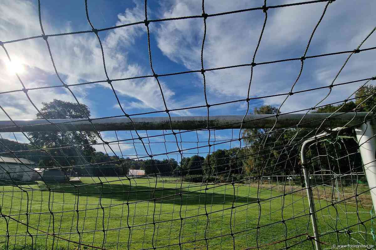 Fußballfeld wird teuer: Welche Kosten auf Rodewisch zukommen
