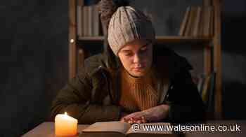Prepping expert warns common emergency plan mistake could leave you in the dark in a blackout