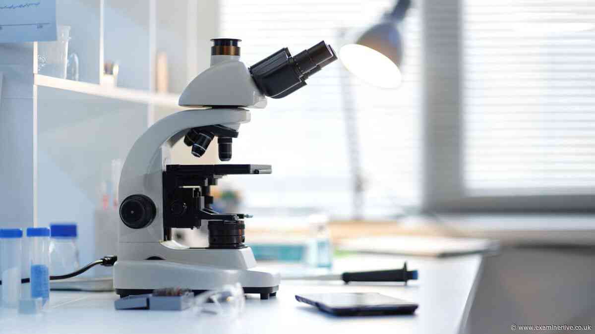 Russia denies plague outbreak measures after lab worker dies