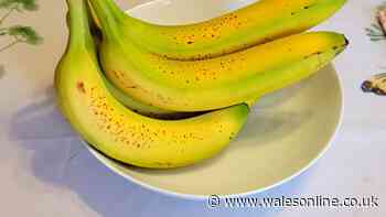 Bananas last two weeks longer without turning brown when stored alongside 1 common household item