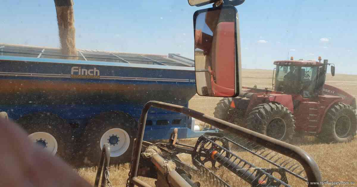 WAFarmers flooded with fast-tracked visa approval requests ahead of harvest