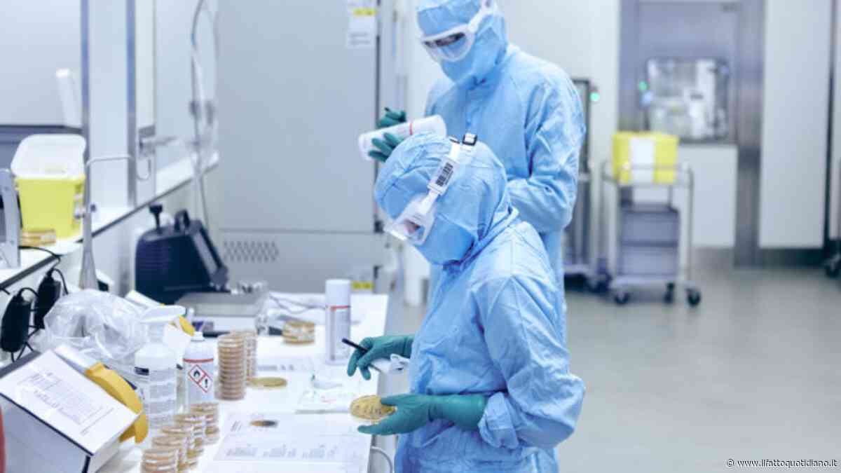 Peste in Siberia? L’Oms chiede chiarimenti su “un secondo dipendente affetto da polmonite di origine sconosciuta”