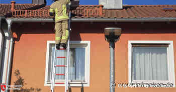 Bamberger Feuerwehr rettet Tier von Hausdach