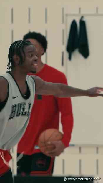 Caleb Wilson is getting right to work at camp #chicagobulls #shorts #nba #basketball #sports