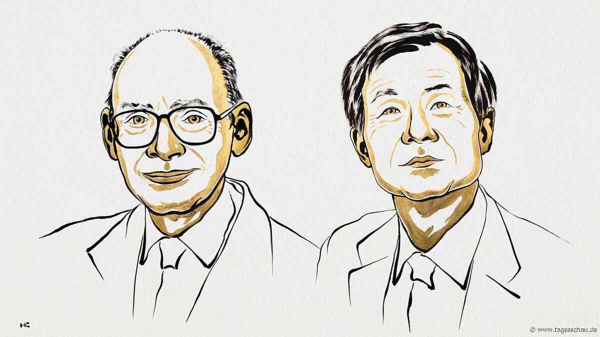 Chemie-Nobelpreis geht an Franzosen Kagan und Japaner Soai