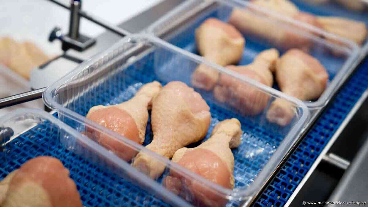 Blaues Licht gegen Hähnchen-Keime – Belastung sinkt im Labor um mehr als 99 Prozent