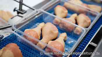 Blaues Licht gegen Hähnchen-Keime – Belastung sinkt im Labor um mehr als 99 Prozent