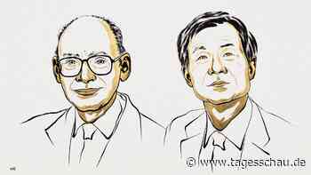 Chemie-Nobelpreis geht an Franzosen Kagan und Japaner Soai
