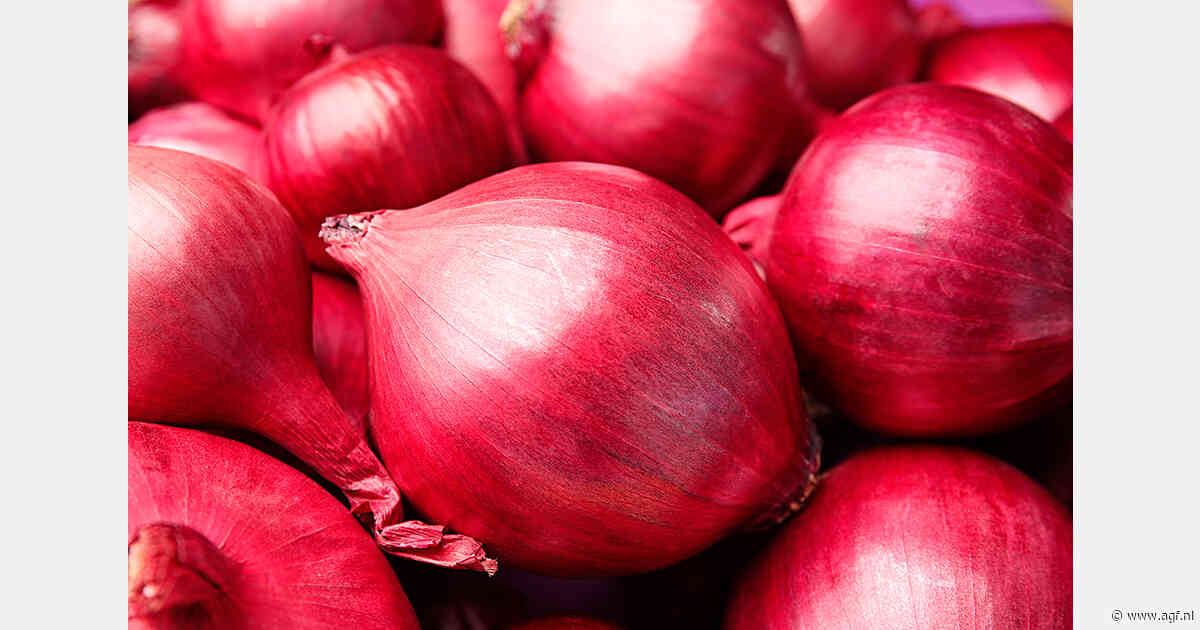 Uienprijzen in India dalen door grotere aanvoer nieuwe oogst