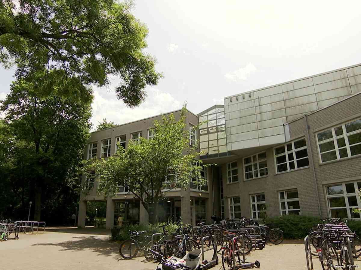 Schulpolitiker entscheiden über Fällung von Wäldchen