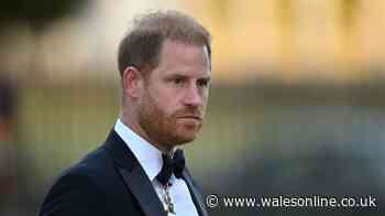 'I've met Prince Harry - he shared honest thoughts about joke I made about him'