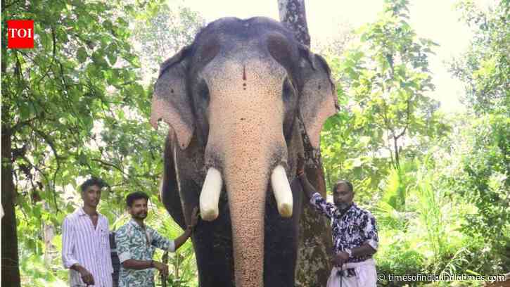 Kerala is mourning the death of its beloved elephant, Pallattu Brahmadathan