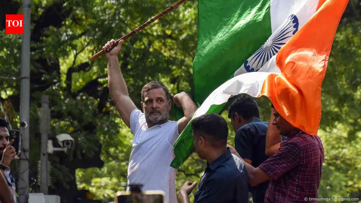 'FIRs are like medals, I want 100': Rahul Gandhi ups ante against Gyanesh Kumar, seeks resignation
