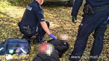 Knife rampage at Polish school leaves at least seven people injured