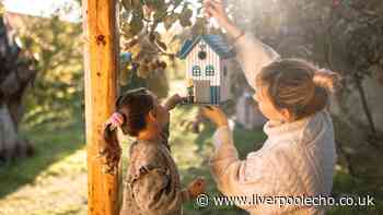UK households ‘banned’ from feeding garden birds in October