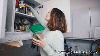 Households urged to check food cupboards before the end of October