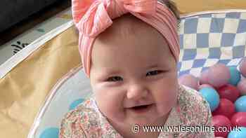 Baby 'scarred for life' after putting hand into gravy put in front of her at pub
