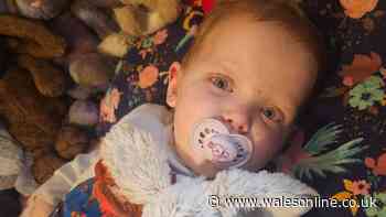 Baby girl's gruelling chemotherapy journey after first symptoms seemed like a cold