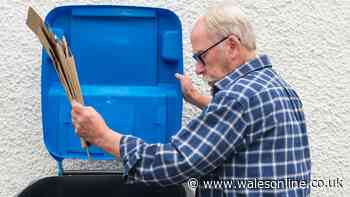 Common takeaway item you should not put in your recycling bin in new warning