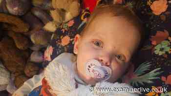 Worst nightmare after parents thought toddler had picked up a nursery bug