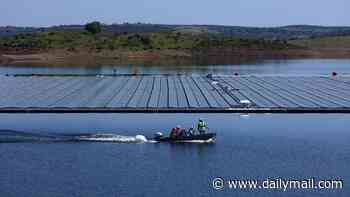 Fight brutal summer droughts by moving solar panels from green fields and floating them on reservoirs, say senior Tories demanding planning red tape cut