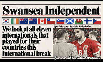 Swansea City : Injury news, reviews of all eleven players this international break. And a wedding !