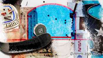 Why expansion to Houston makes too much sense for the NHL
