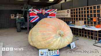 Pumpkin named Bagheera breaks world record