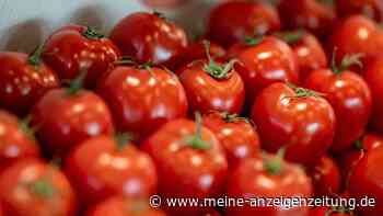 Salmonellen-Alarm in Italien: Ausbruch führt zu Tomaten-Verbot in Schulen und Krankenhäusern