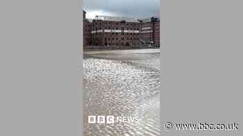 Gloucester Docks dredging project costing £4m begins