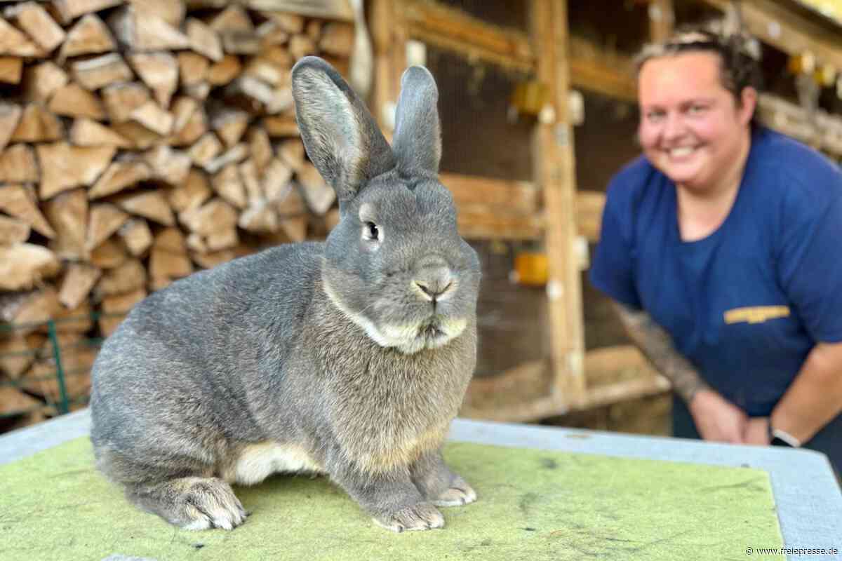 120 Jahre Vereinsgeschichte im Erzgebirge: Hier gibt es tierisch Grund zum Feiern