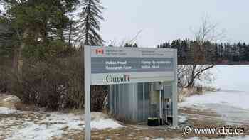 Federal government phasing out seed research in Indian Head, Sask.