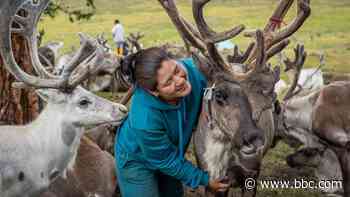 A rare stay with Mongolia's reindeer herders