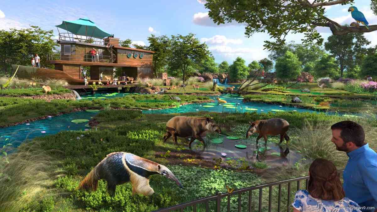 Hillsborough County to consider $75M funding agreement for ZooTampa upgrades