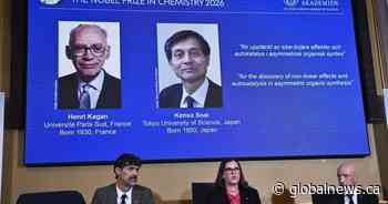 Nobel Prize in chemistry goes to Kagan and Saoi for solving molecular mystery
